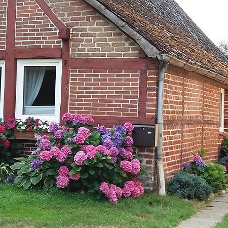 Von Wiegen, Ferienwohnungen Schneverdingen Eksteriør bilde